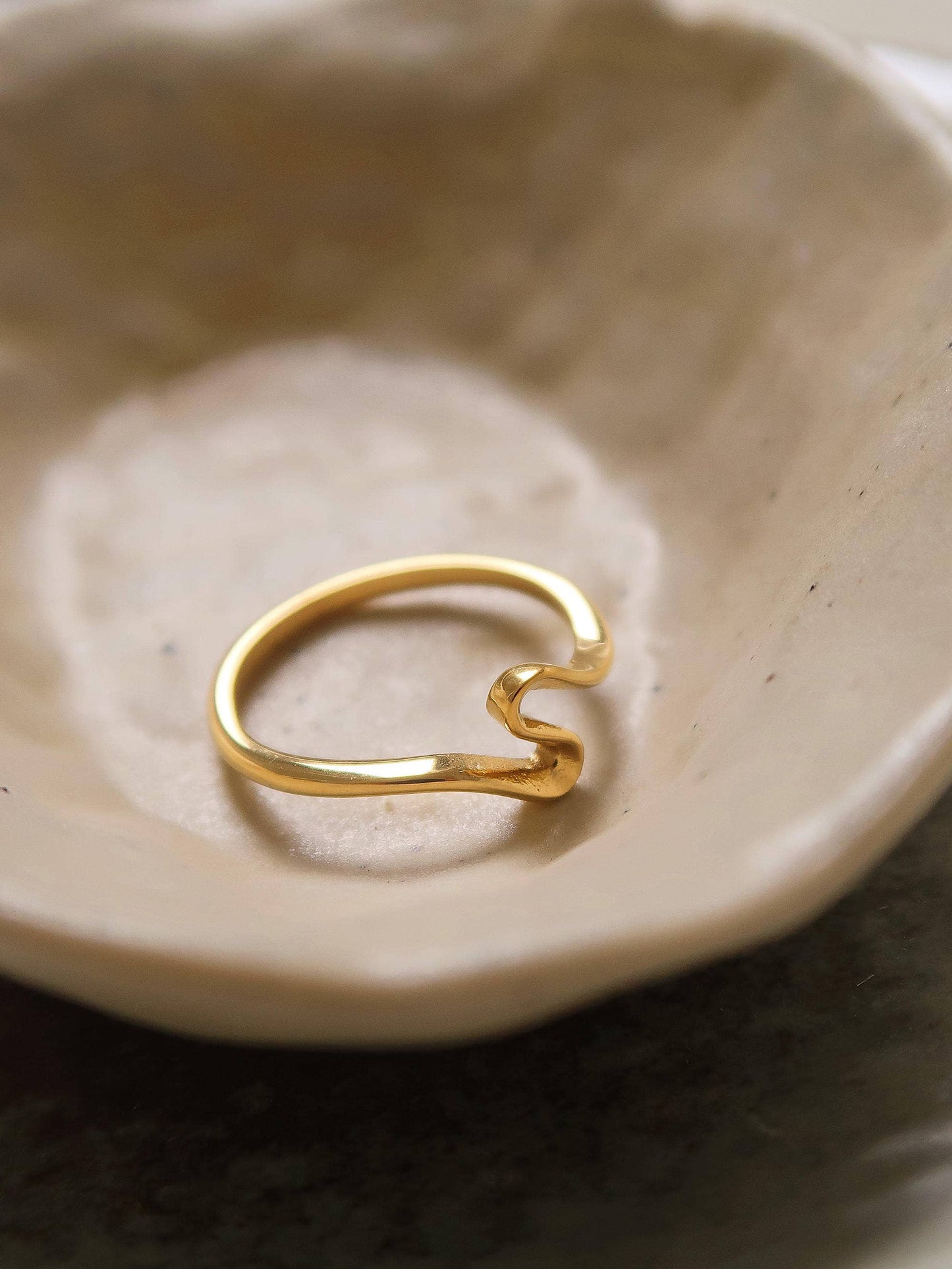Chester 18K Gold Non-Tarnish Minimalist Ring